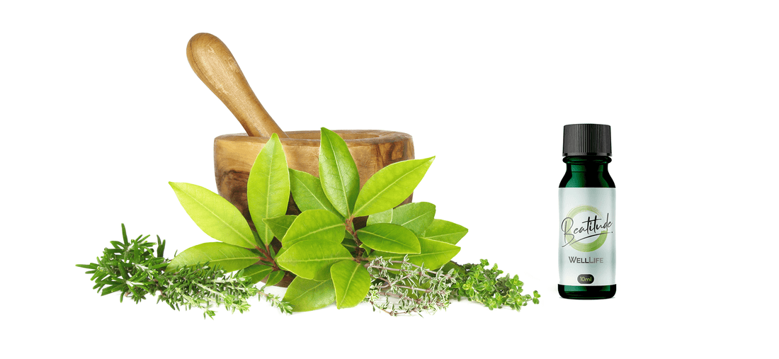 Aromatherapy Methods For Use With Well Life Essential Oils - Well Life