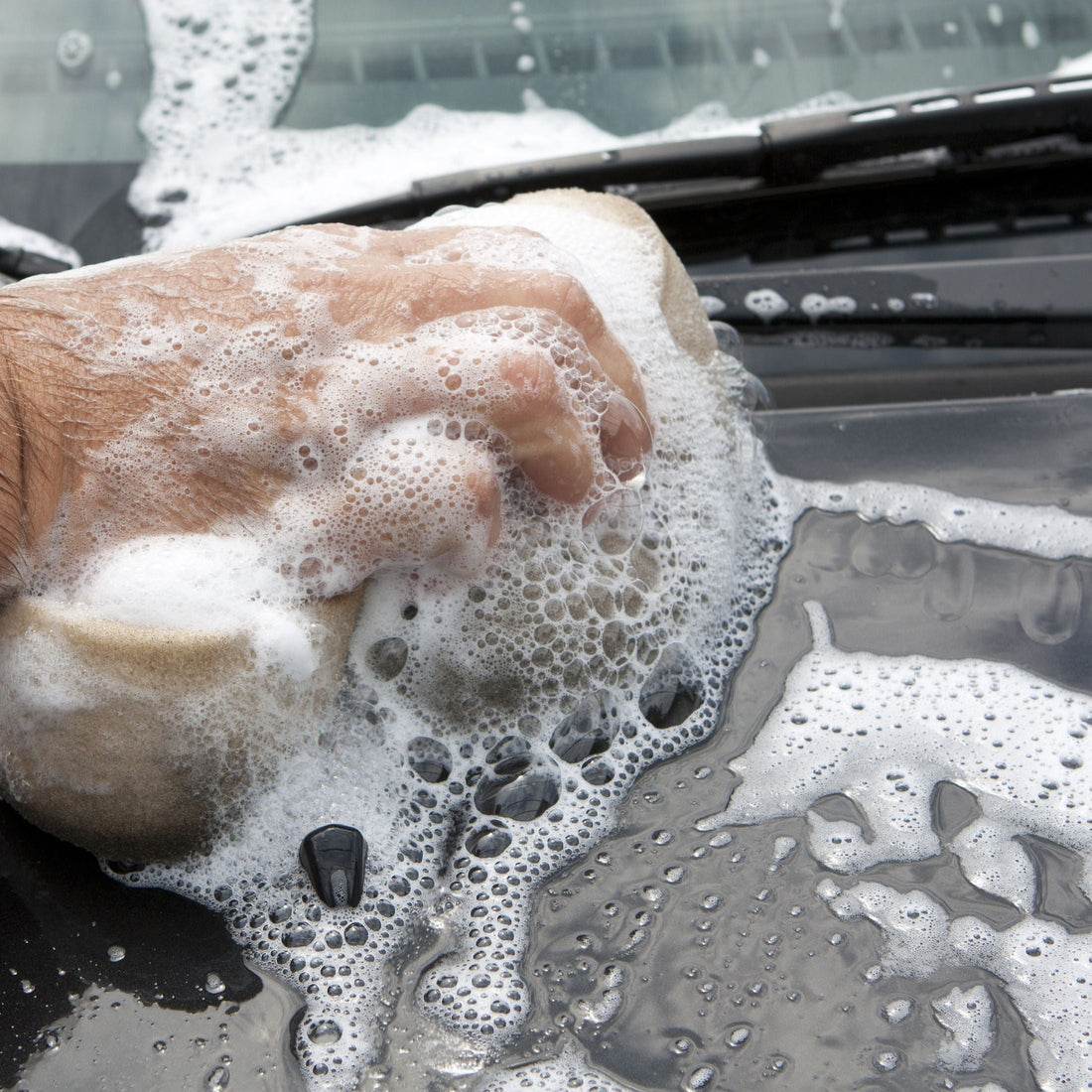 It's Pollen Season and Your Car Is Suffering Too! - Well Life