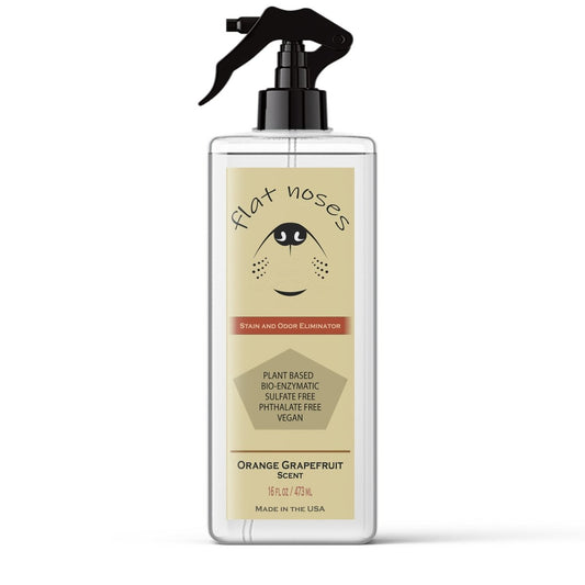 Flat Noses Pet Stain Remover, Orange Grapefruit - Well LifeAnimals & Pet Supplies