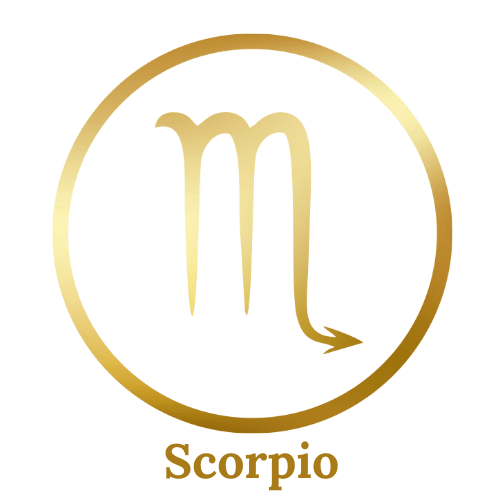 Sun Risings Zodiac Gifts - Well Life