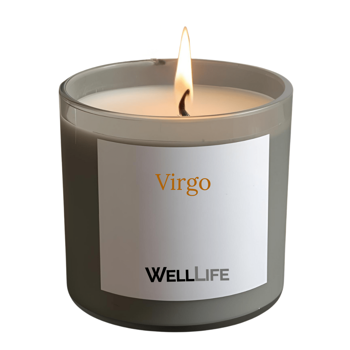 Virgo Signature Book Box - Well Life
