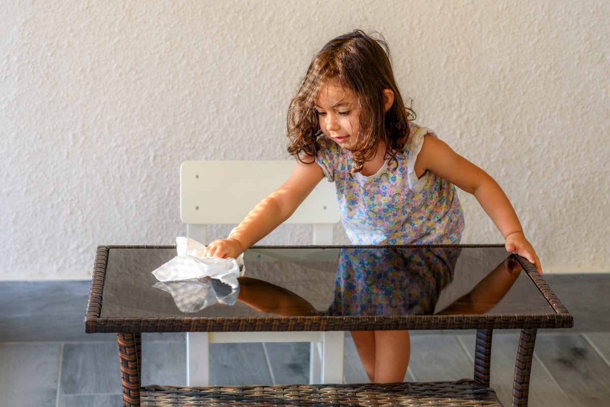 All Purpose Multi Surface Refill Tablets - 12 - Well Life