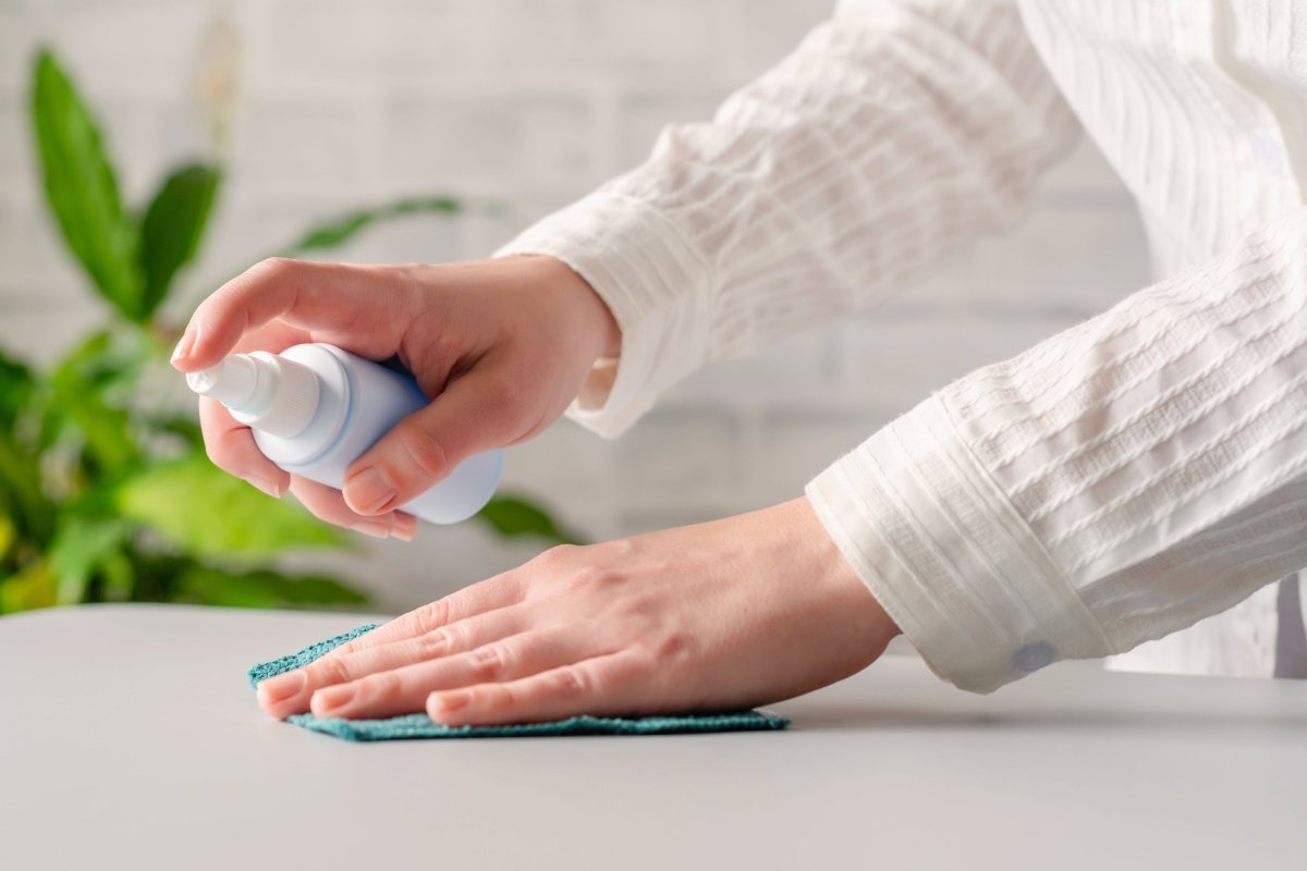 All Purpose Spray Cleanser - Well LifeHome Products