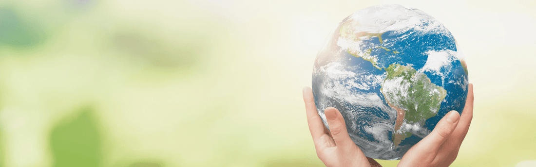 55 Years of Earth Day: How Conscious Choices Will Help Shape a Greener Tomorrow - Well Life