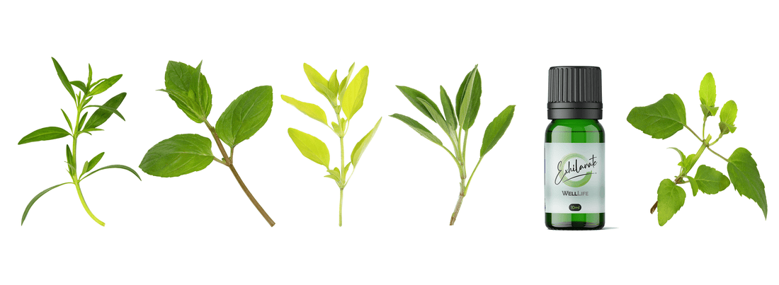 Aromatherapy By Time Of Day - Morning - Well Life