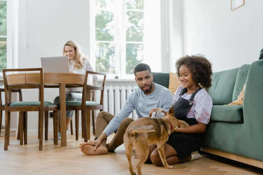 Safe and Green: How Plant-Based Cleaning Solutions Protects Pets - Well Life