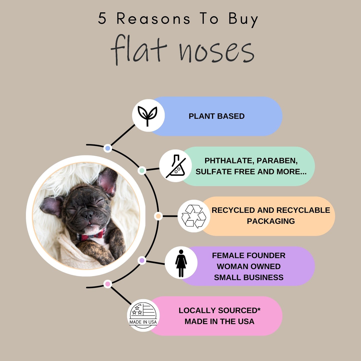 Flat Noses All in One Tearless All Natural Conditioning Shampoo - Perfect for Frenchies Bulldogs Boxers Pugs Brachycephalic - Aloe and Provitamin B5 Keep Dog Coat Soft, Shiny - Sulfate Free