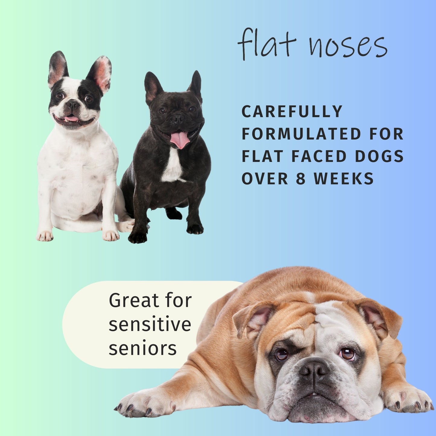 Flat Noses All in One Tearless All Natural Conditioning Shampoo - Perfect for Frenchies Bulldogs Boxers Pugs Brachycephalic - Aloe and Provitamin B5 Keep Dog Coat Soft, Shiny - Sulfate Free