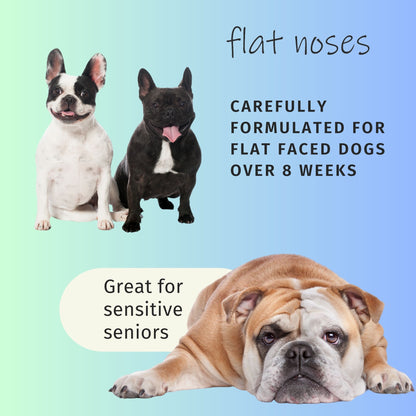 Flat Noses Tearless Dog Shampoo and Conditioner Set