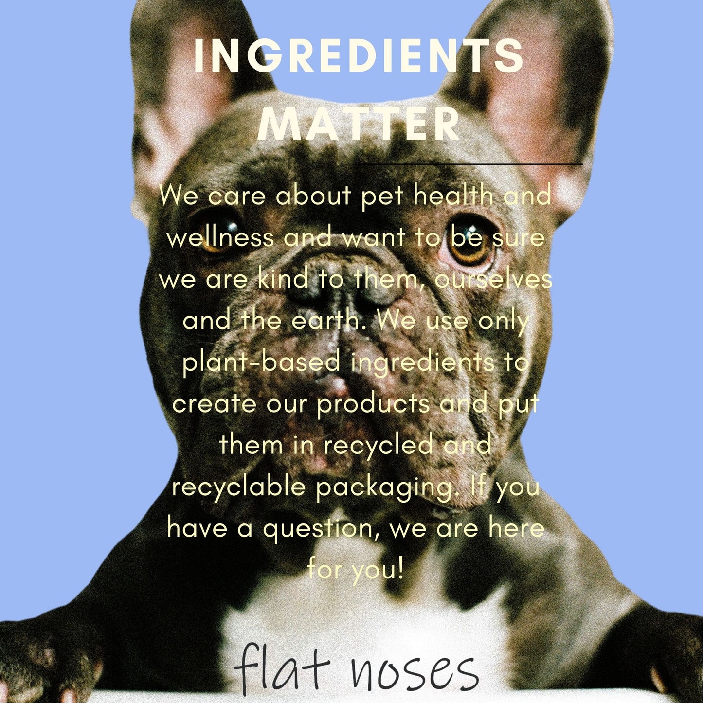 Flat Noses All in One Tearless All Natural Conditioning Shampoo - Perfect for Frenchies Bulldogs Boxers Pugs Brachycephalic - Aloe and Provitamin B5 Keep Dog Coat Soft, Shiny - Sulfate Free