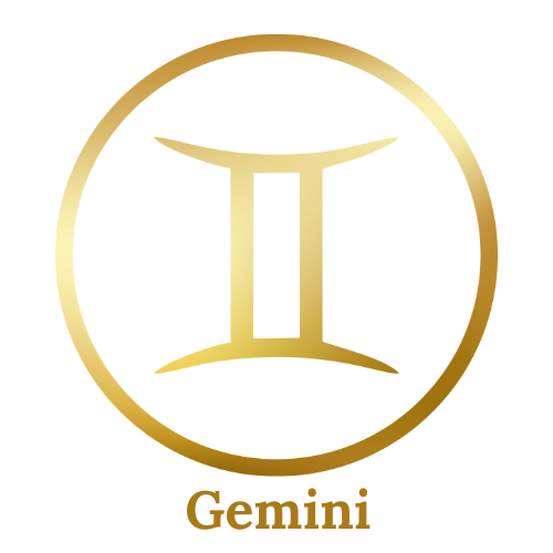 Gemini Signature Kit