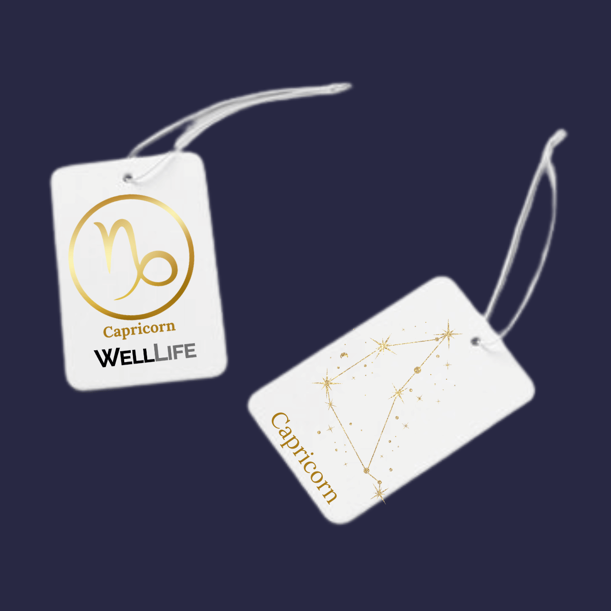 Capricorn Gift Box - Well Life