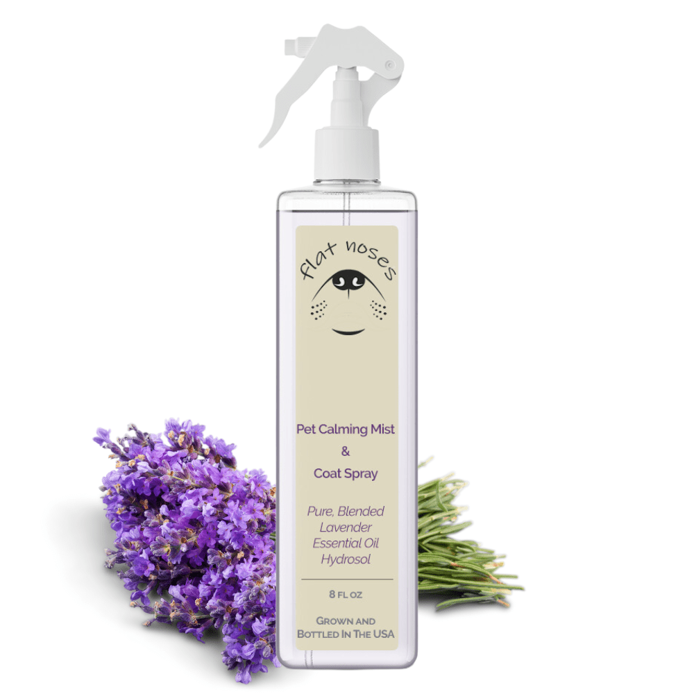 Flat Noses Pet Calming Mist - Pure Natural Lavender - Well LifeAnimals & Pet Supplies