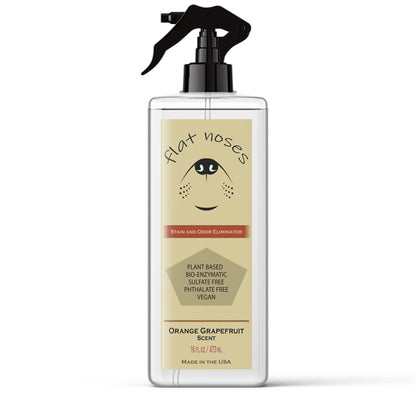 Flat Noses Pet Stain Remover, Orange Grapefruit - Well LifeAnimals & Pet Supplies