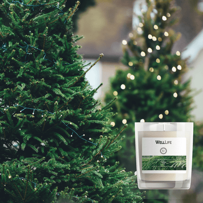 Fresh Cut Candle - Well LifeCandle