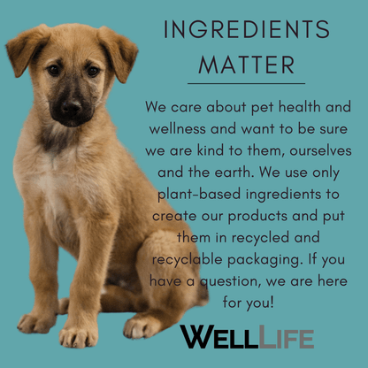 Pet Shampoo and Conditioner Set - Well LifePet Product
