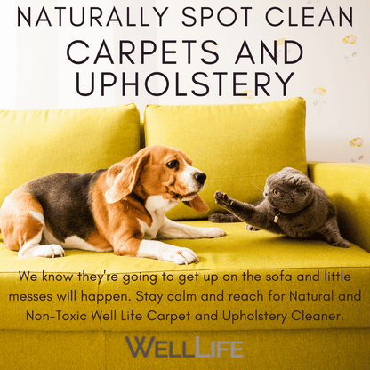 Upholstery and Carpet Cleaner - Well LifeHome Products