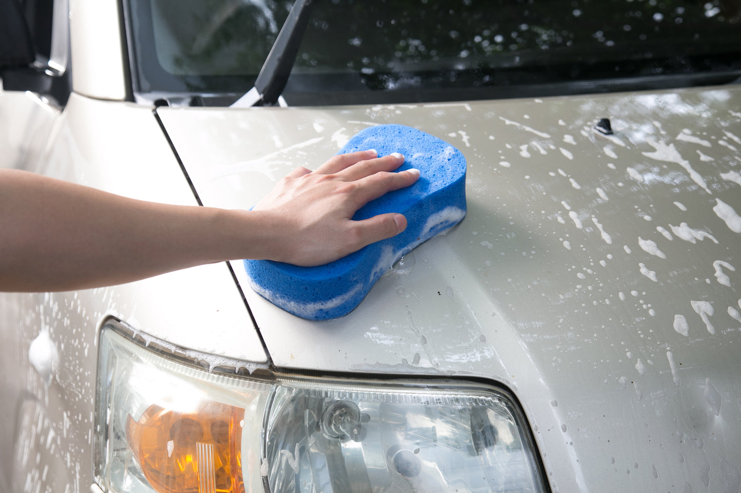 Well Life Plant Based Car Wash Kit with reusable, recyclable and sustainable items. Durable canvas tote bag.