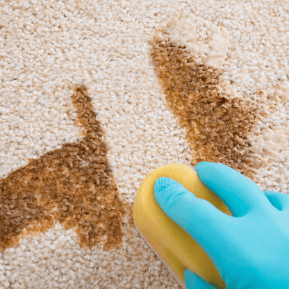 Upholstery and Carpet Cleaner - Well LifeHome Products
